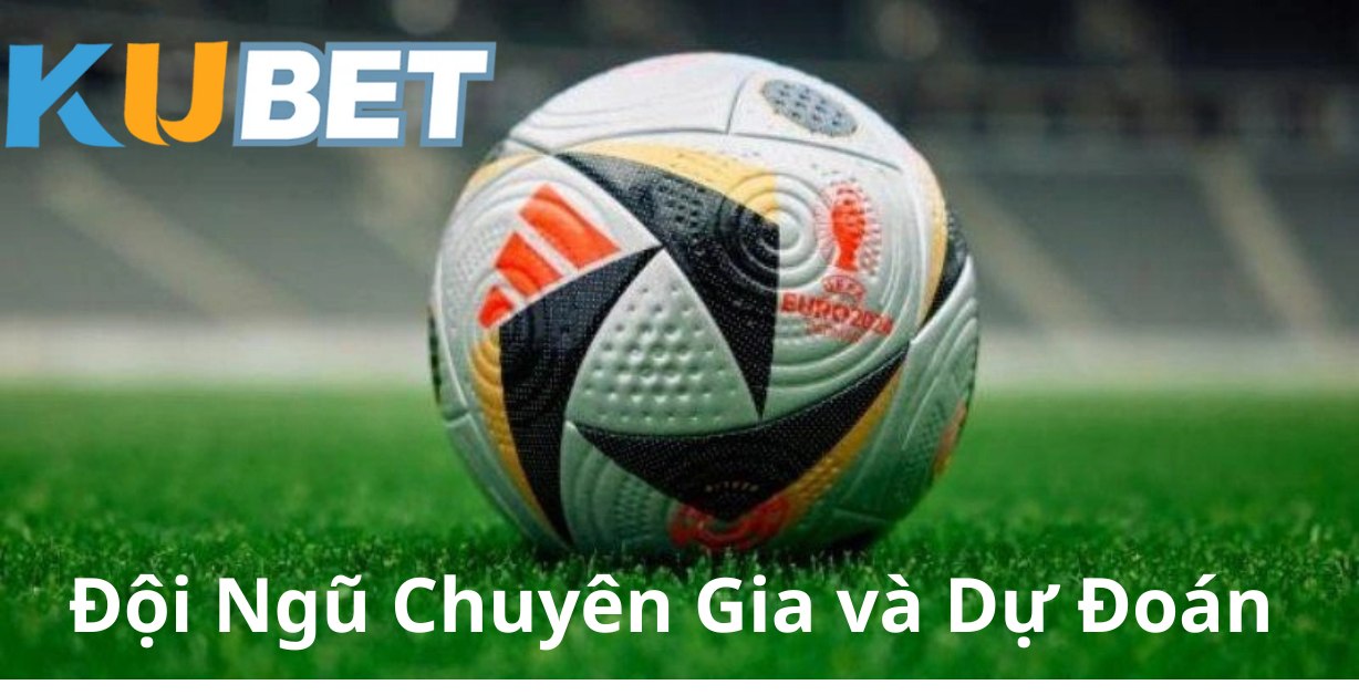 Đội Ngũ Chuyên Gia và Dự Đoán
