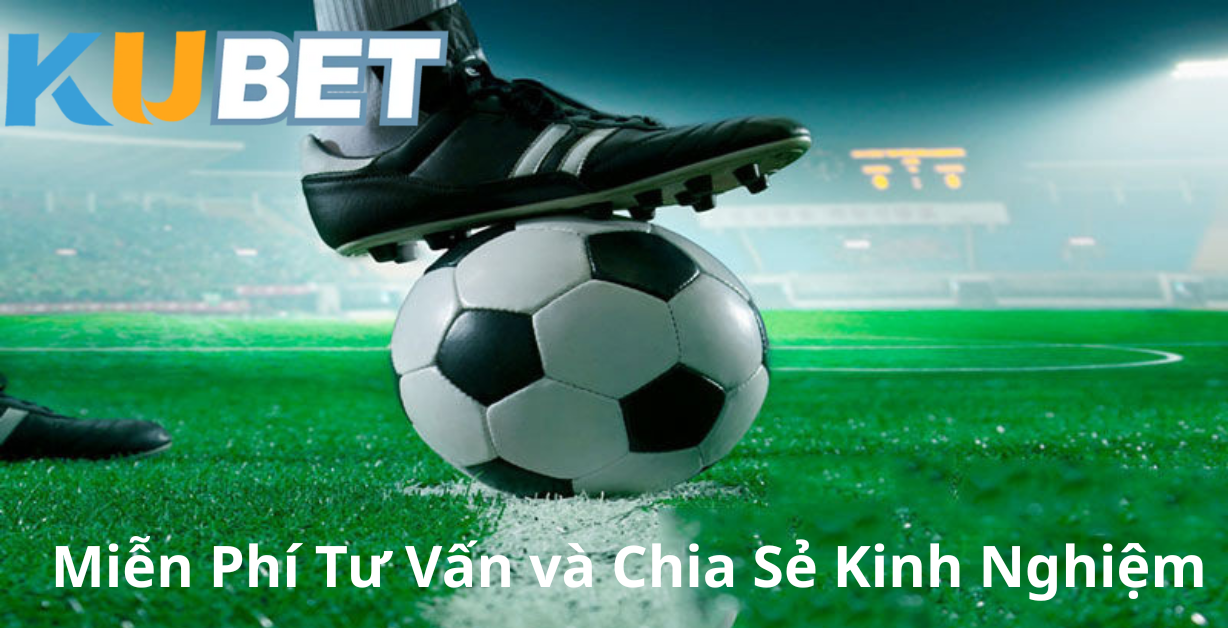 Miễn Phí Tư Vấn và Chia Sẻ Kinh Nghiệm
