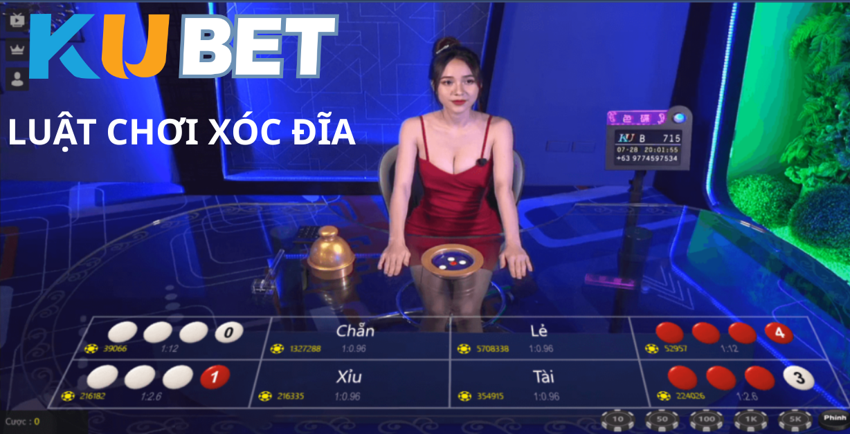 Luật Chơi Xóc Đĩa Cơ Bản Dành Cho Người Mới